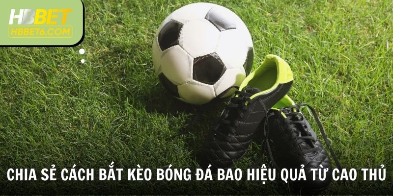 Chia sẻ cách bắt kèo bóng đá bao hiệu quả từ cao thủ