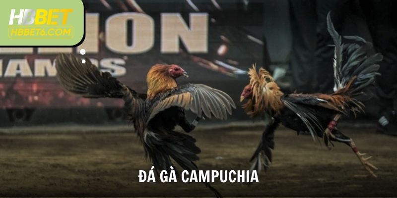 Đá Gà Campuchia
