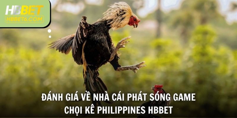 Đánh giá về nhà cái phát sóng game chọi kê Philippines HBBET