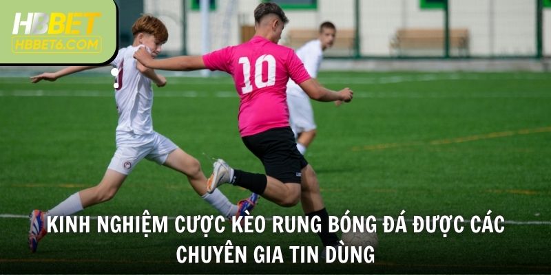 Kinh nghiệm cược kèo rung bóng đá được các chuyên gia tin dùng