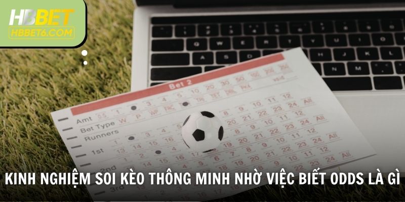 Kinh nghiệm soi kèo thông minh nhờ việc biết odds là gì