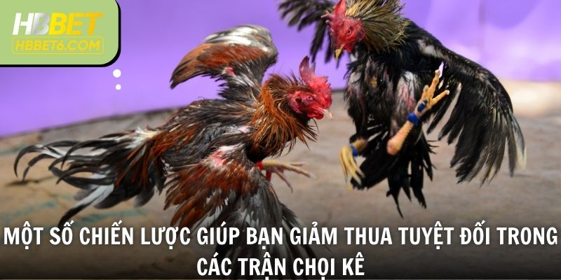 Một số chiến lược giúp bạn giảm thua tuyệt đối trong các trận chọi kê