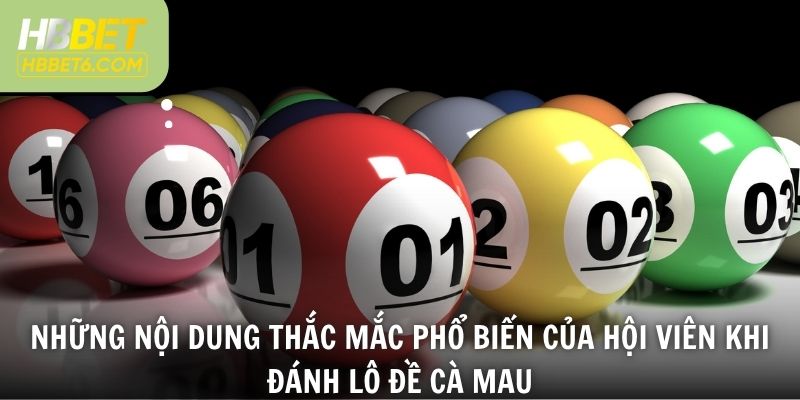 Những nội dung thắc mắc phổ biến của hội viên khi đánh lô đề Cà Mau