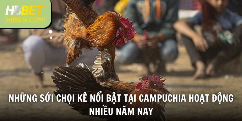 Những sới chọi kê nổi bật tại Campuchia hoạt động nhiều năm nay