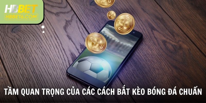 Tầm quan trọng của các cách bắt kèo bóng đá chuẩn