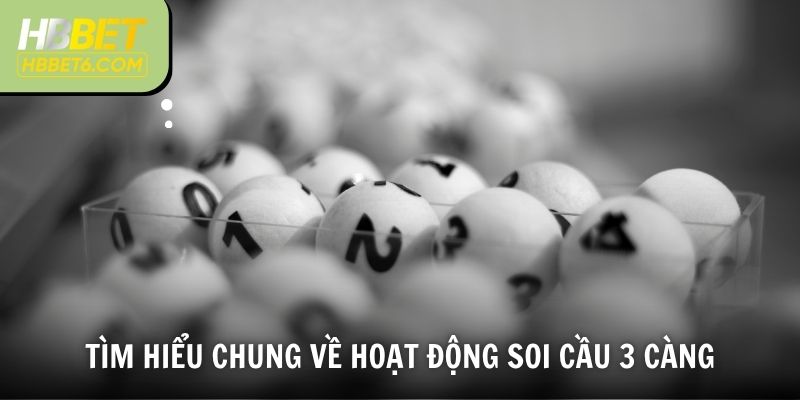 Tìm hiểu chung về hoạt động soi cầu 3 càng