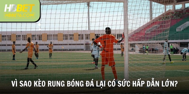Vì sao kèo rung bóng đá lại có sức hấp dẫn lớn?